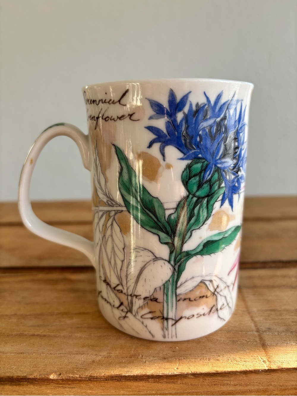 Royal Doulton "Old Botanicals" Blue Cornflower China by P. Green Expressions